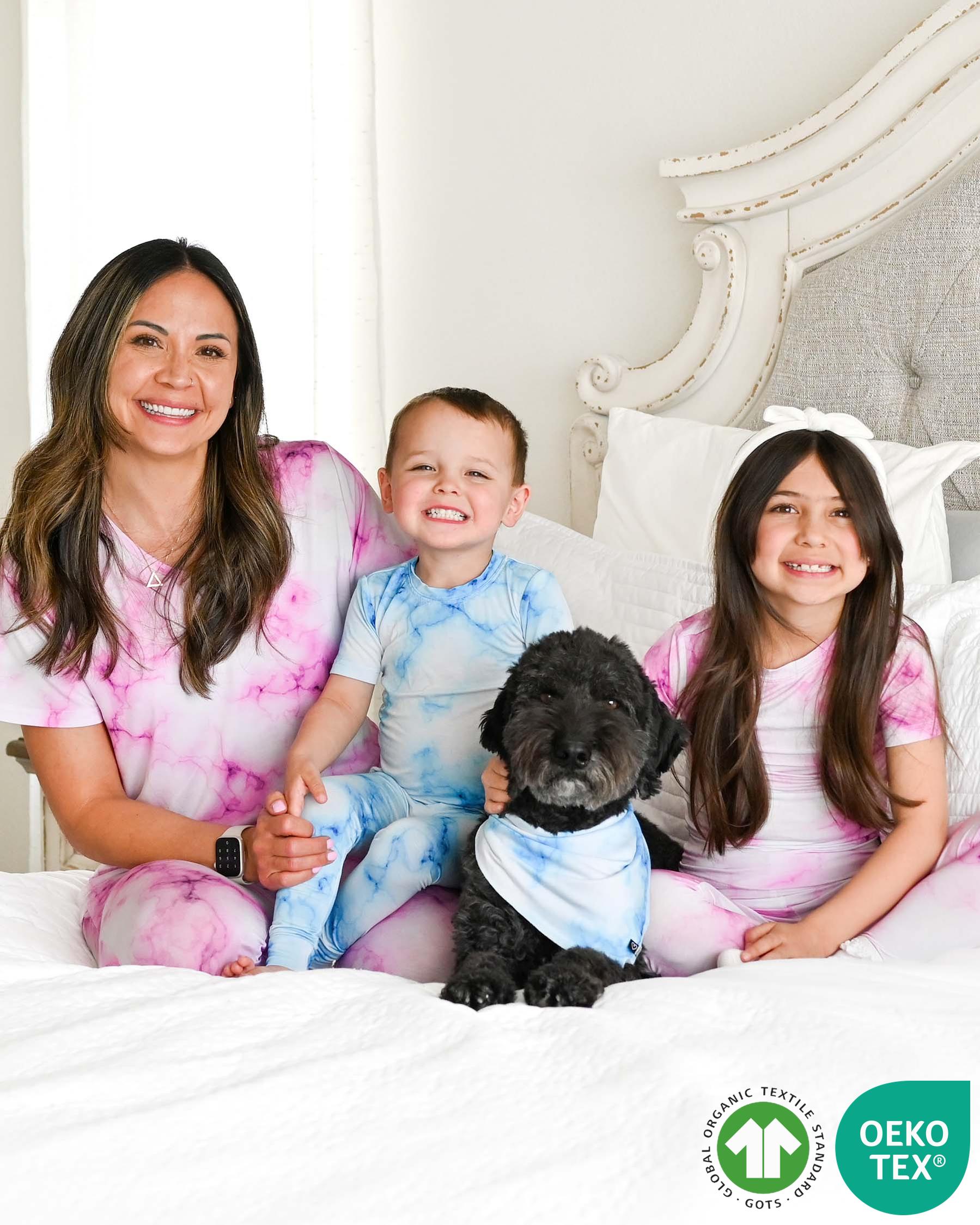 Blue Marble Pet Bandana