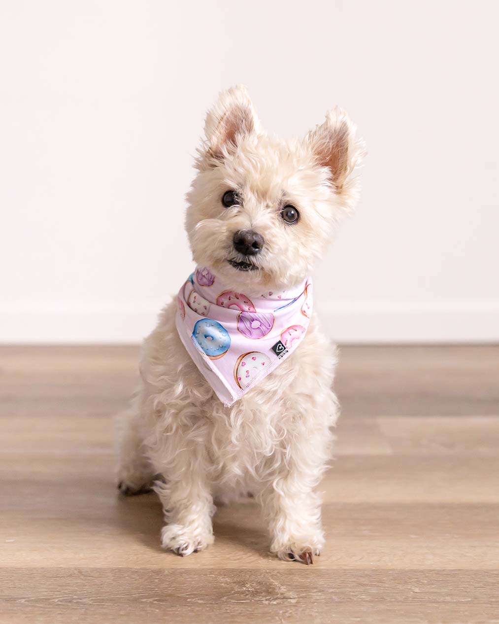 Donuts Pet Bandana-Bambooclothing- Lev Baby ™