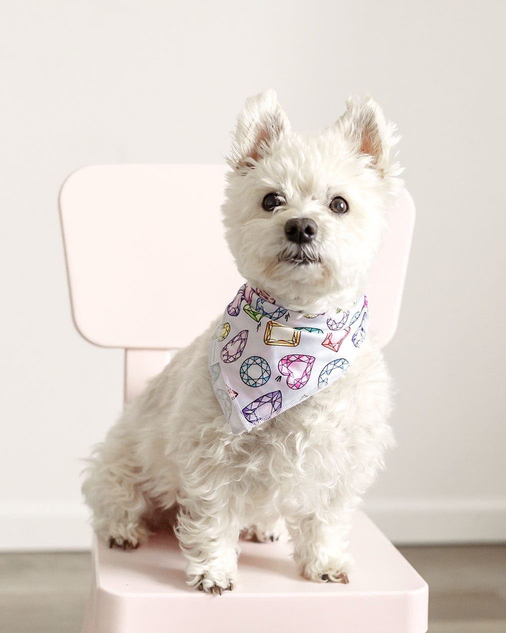 Sustainable Bamboo Rainbow Gems Pet Bandana