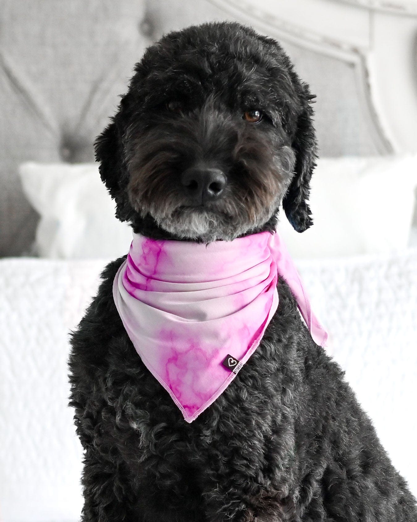 Pink Marble Pet Bandana