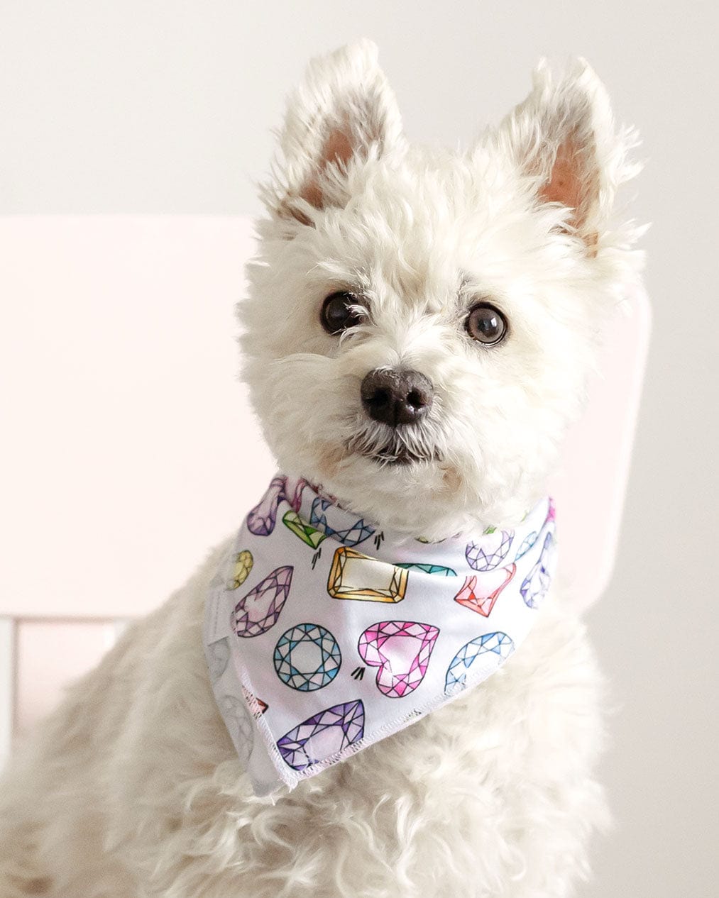 Rainbow Gems Pet Bandana