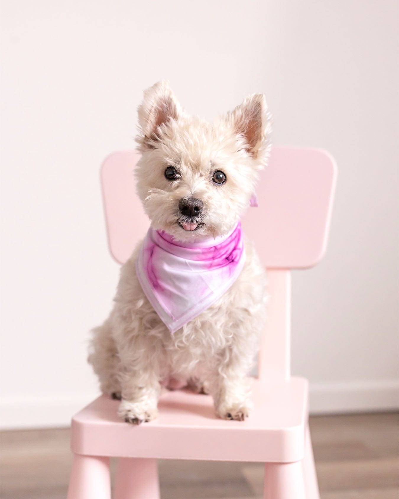 Pink Marble Bamboo Pet Bandana Lev Baby