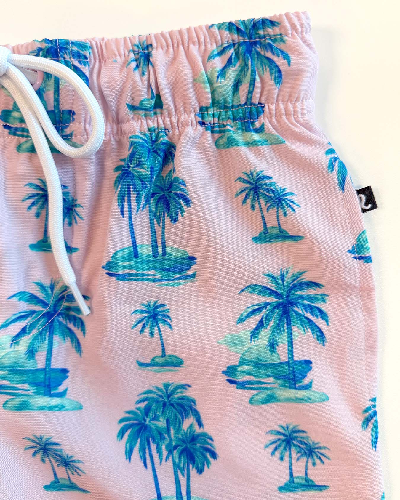 Tanner Swim Trunks