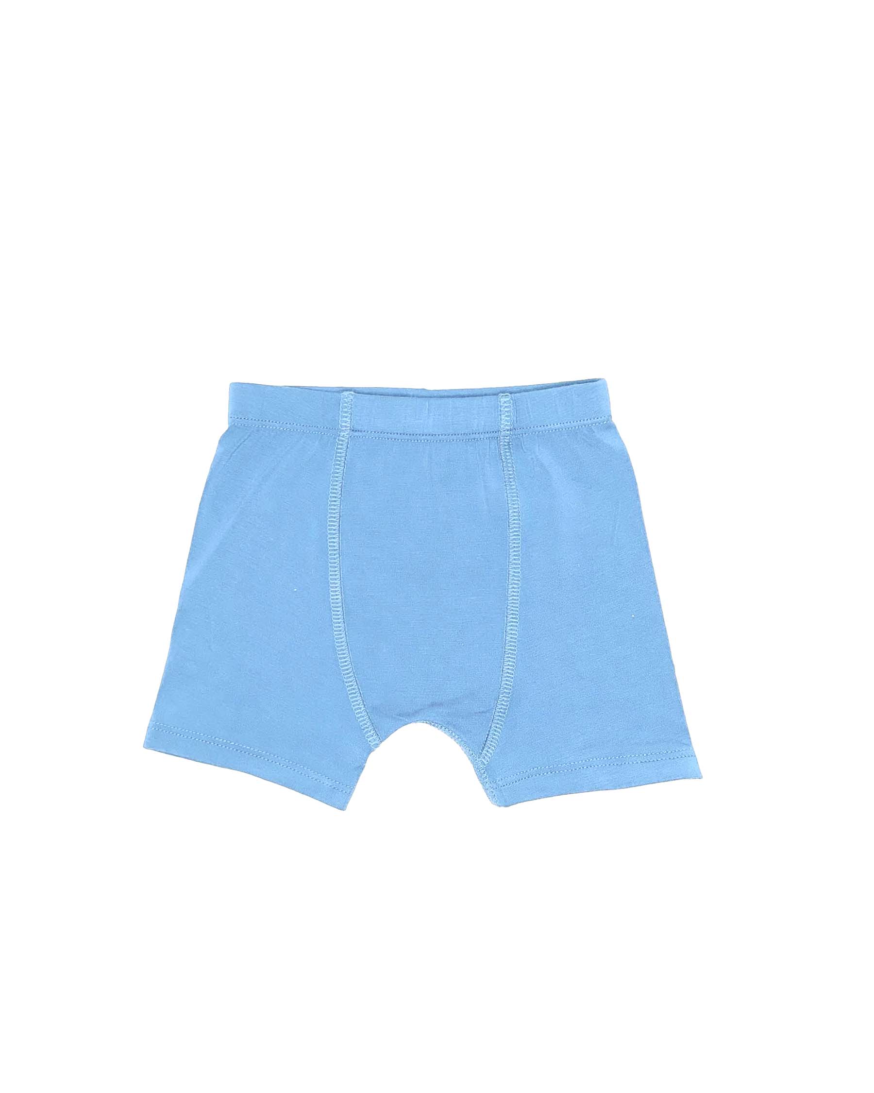 Hunter Boy's Briefs Set (Box of 3)