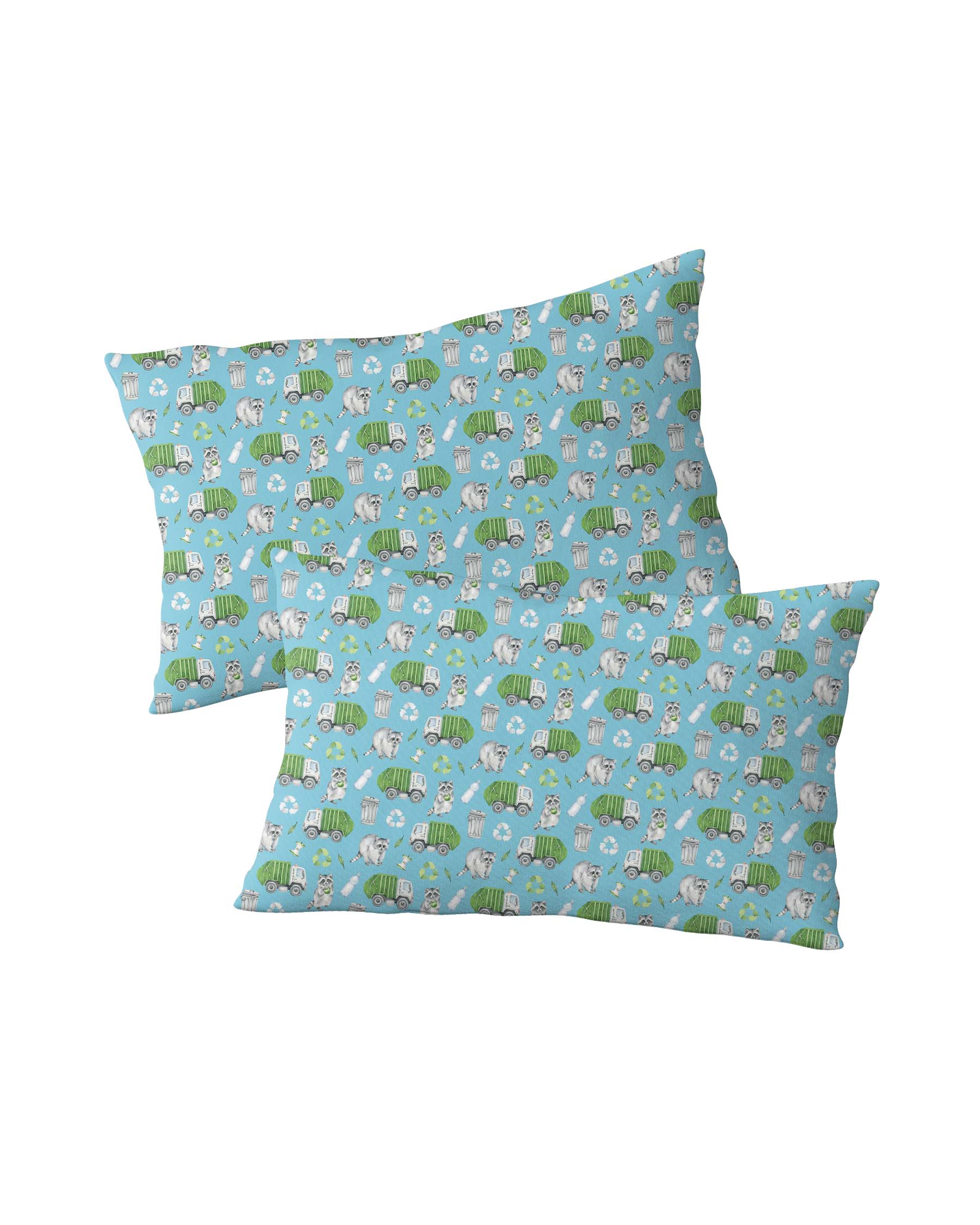 Recycle Pillowcases: Set of 2