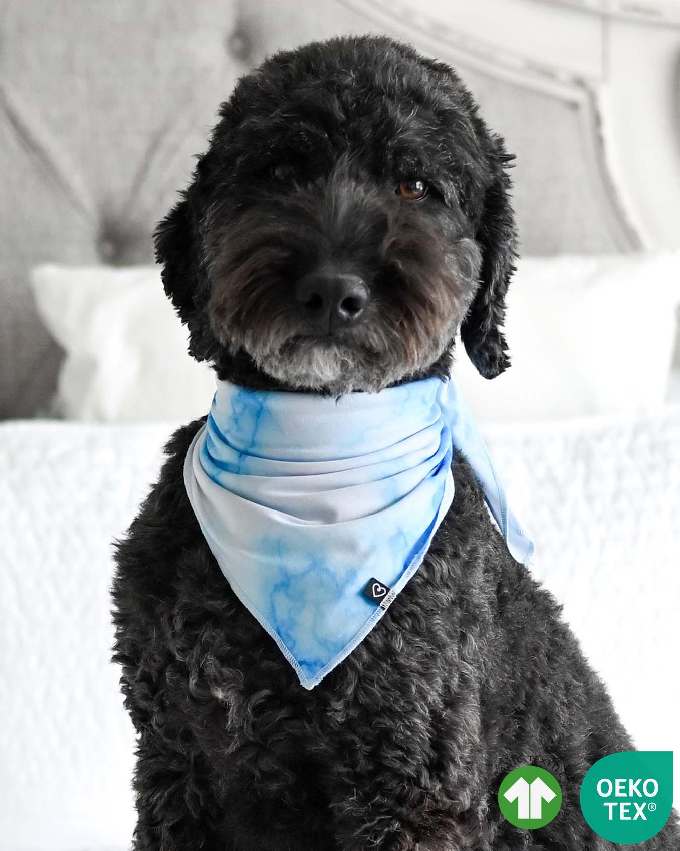 Blue Marble Pet Bandana