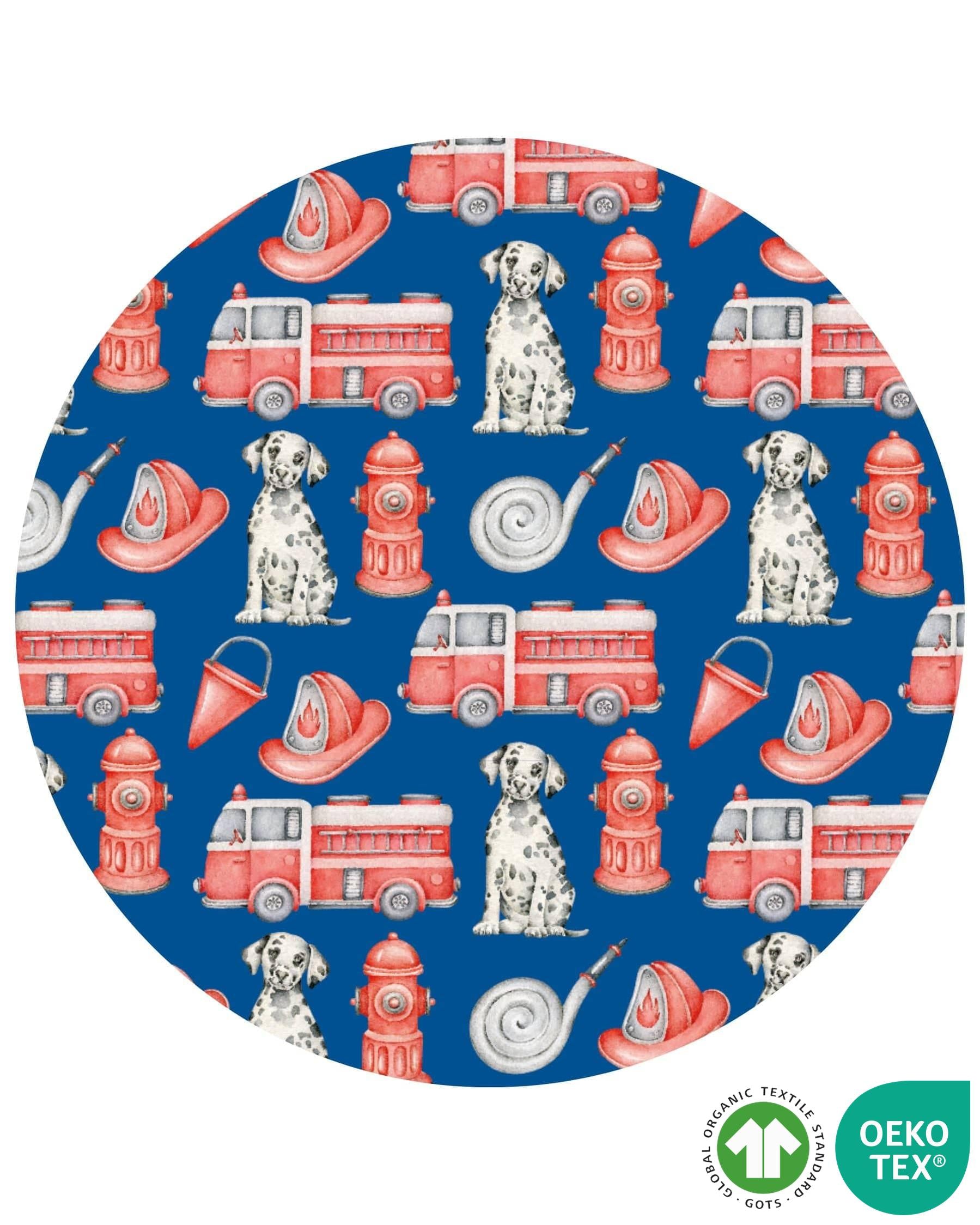 Honor Boy's Briefs Set: Box of 3