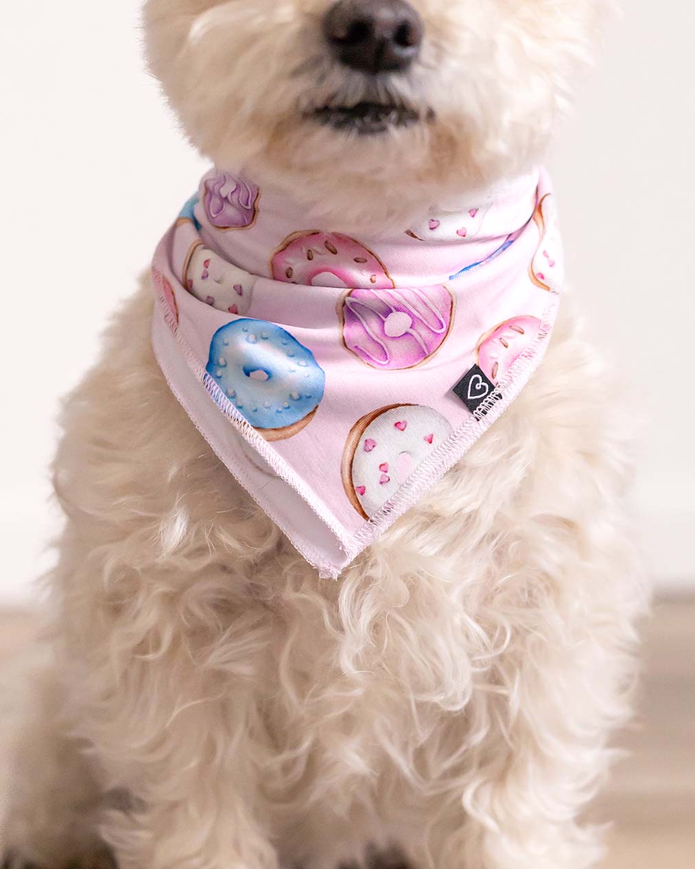 Donuts Pet Bandana-Bambooclothing- Lev Baby ™