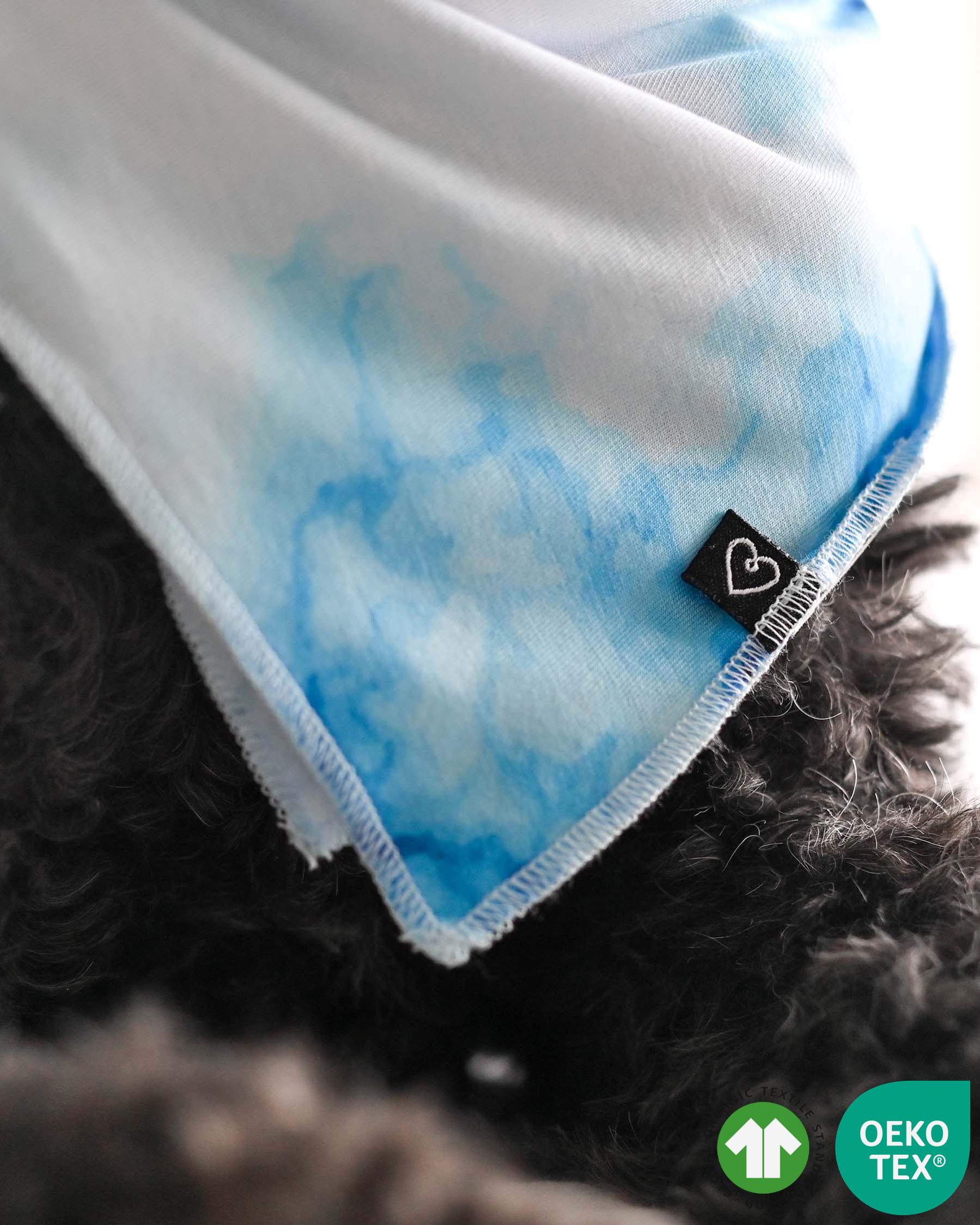 Blue Marble Pet Bandana