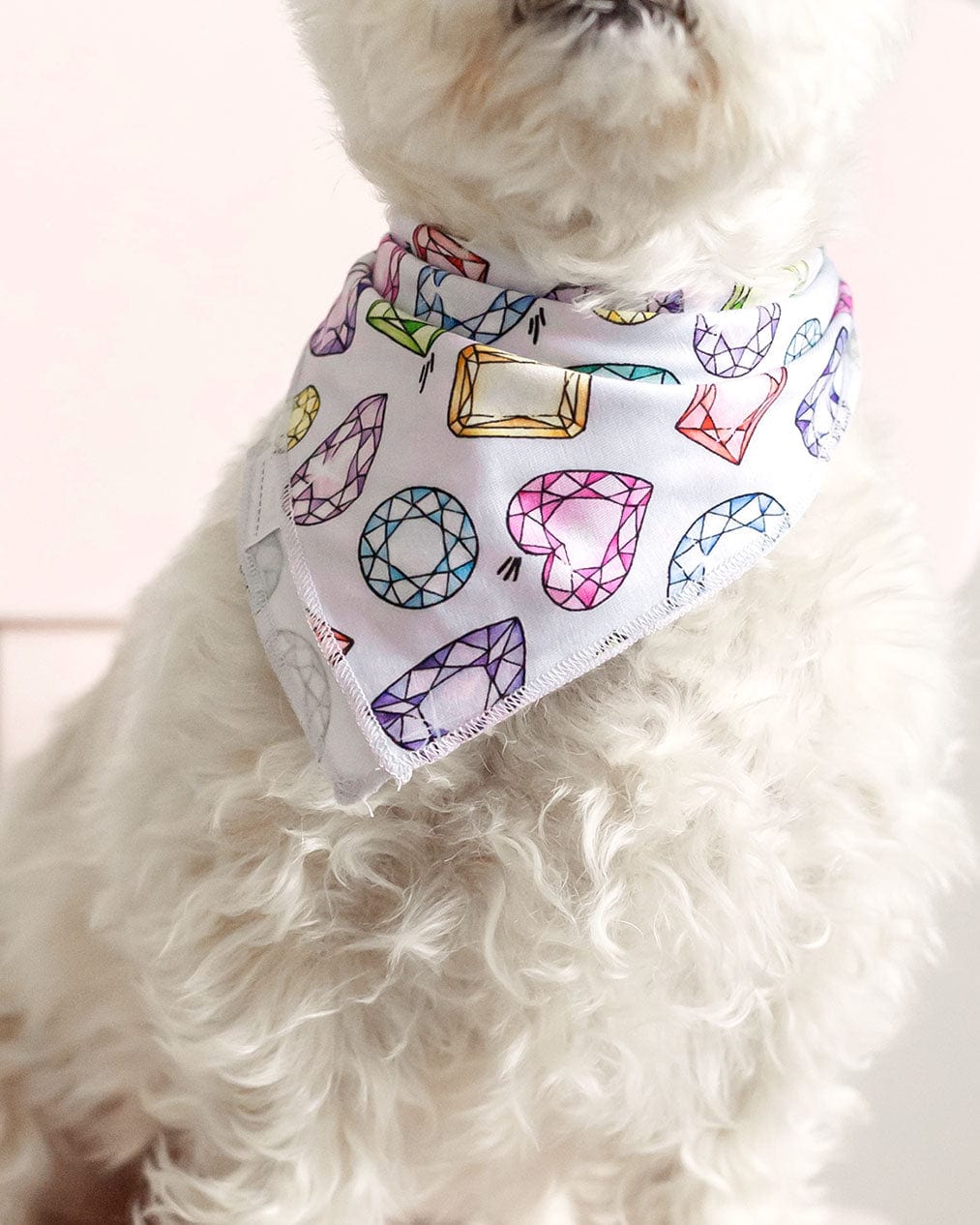 Rainbow Gems Pet Bandana