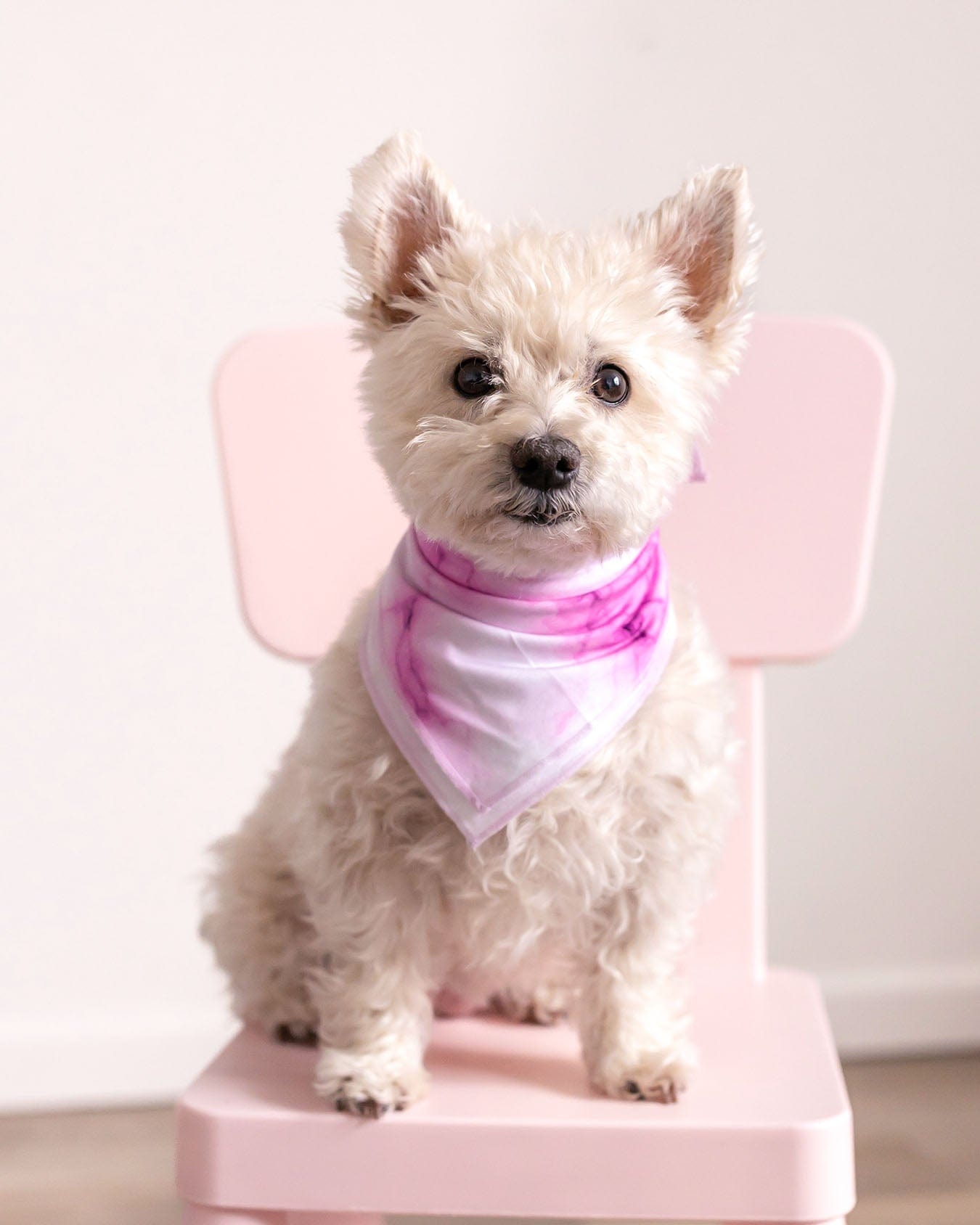 Pink Marble Pet Bandana