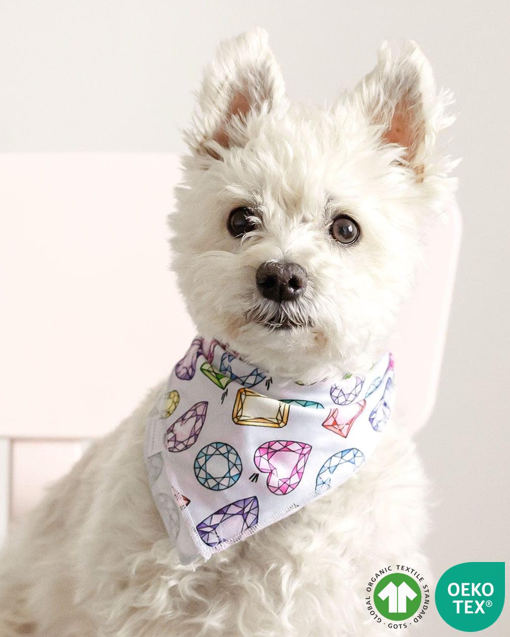 Rainbow Gems Pet Bandana