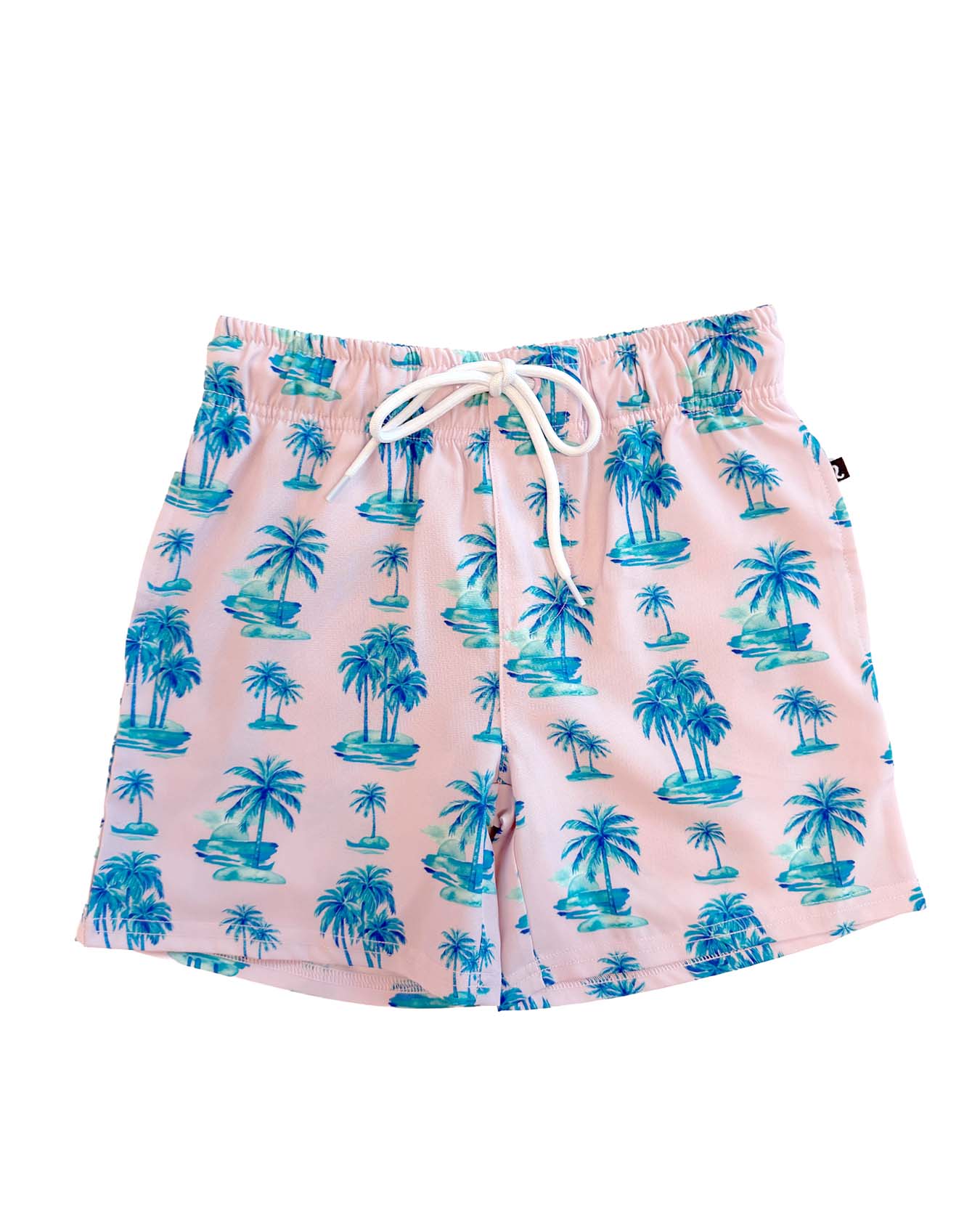 Tanner Swim Trunks