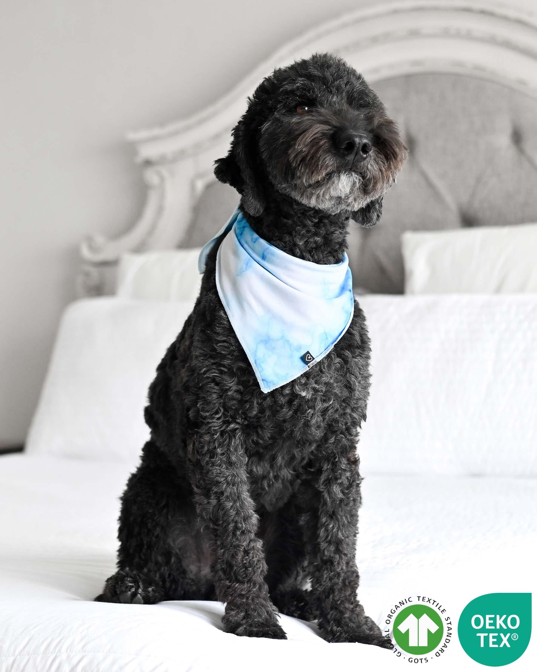 Blue Marble Bamboo Pet Bandana