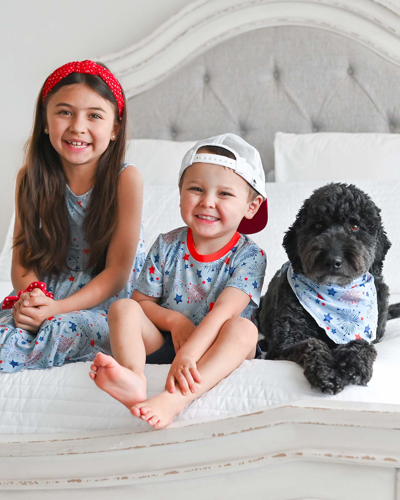 Fireworks Dog Bandana