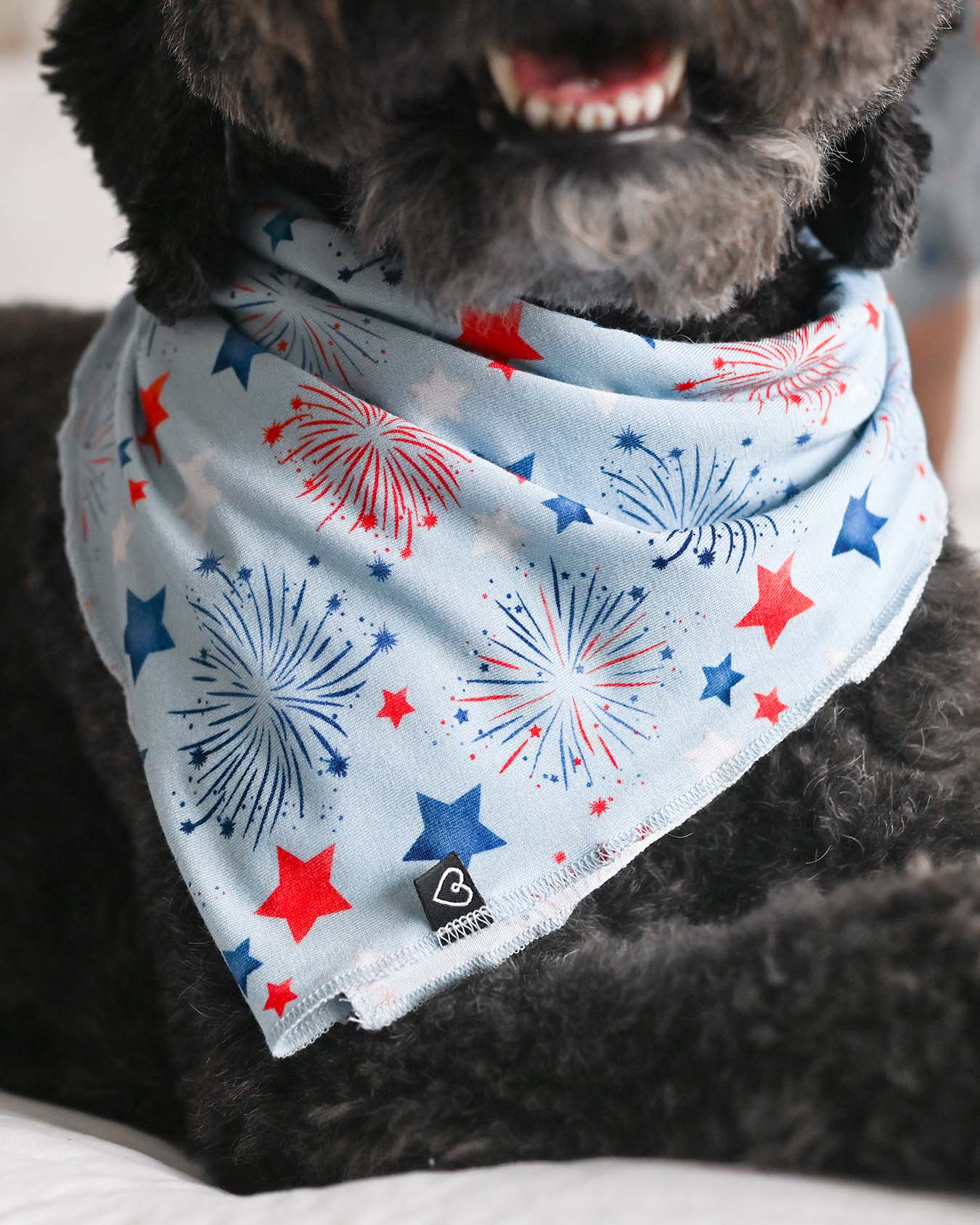 Fireworks Dog Bandana