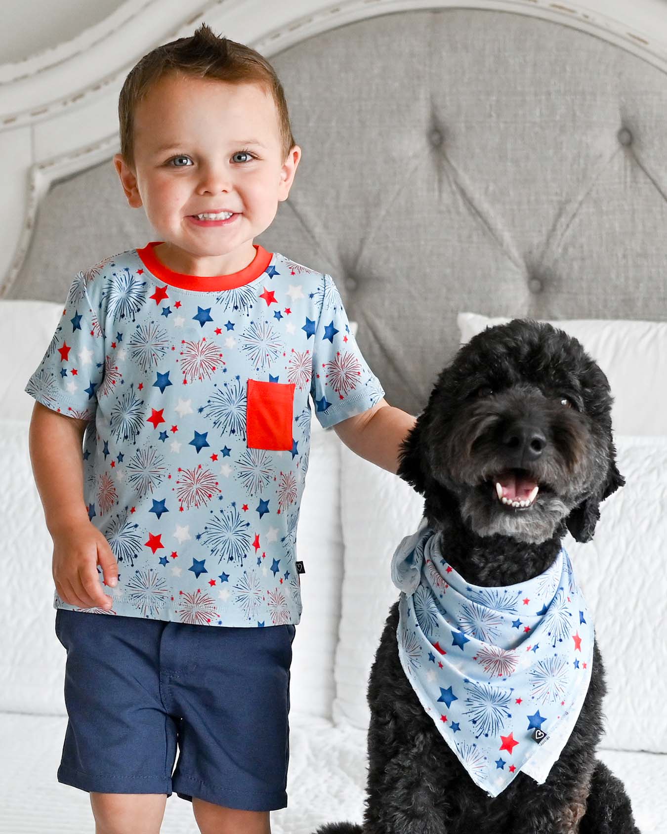 Fireworks Dog Bandana