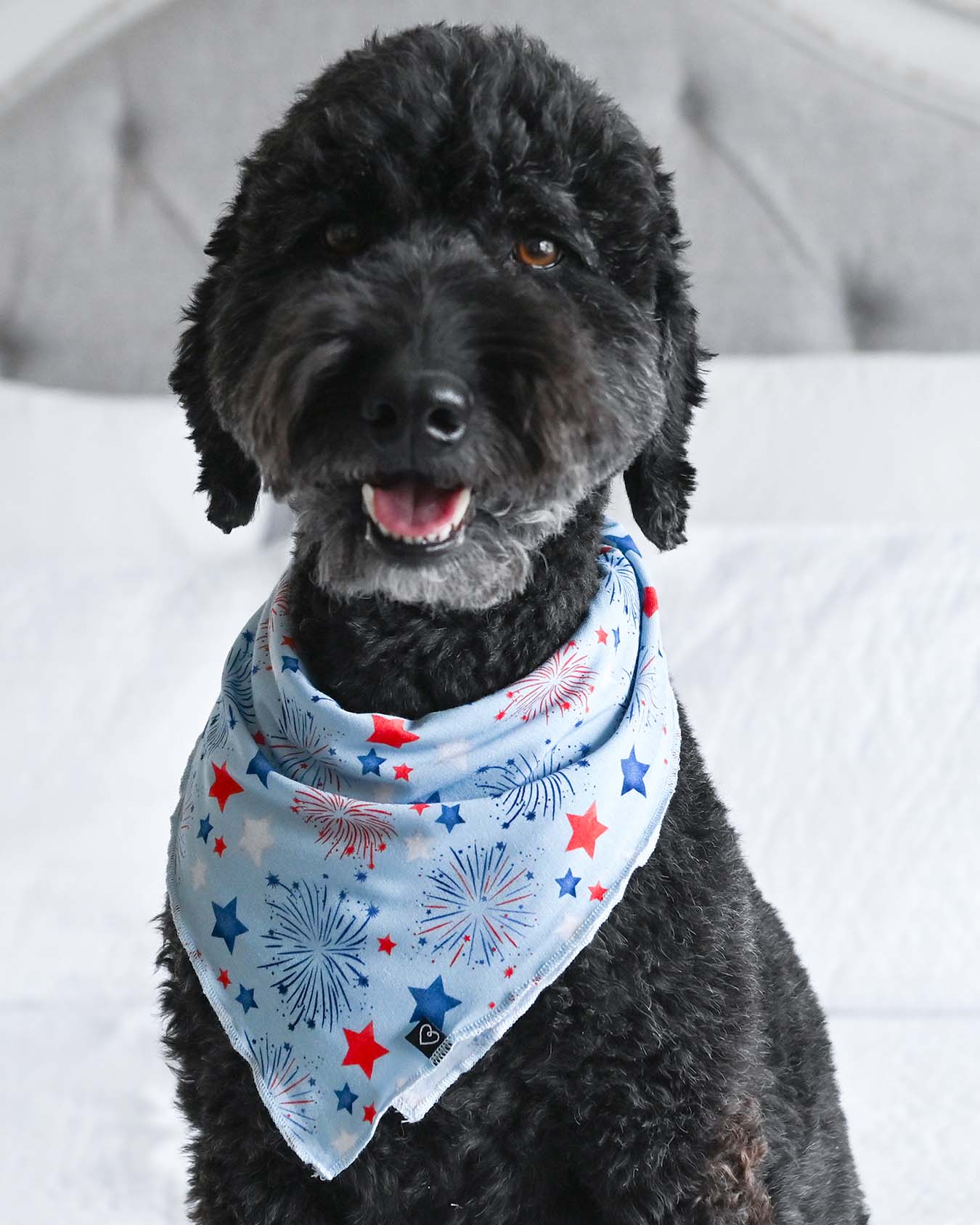 Fireworks Dog Bandana