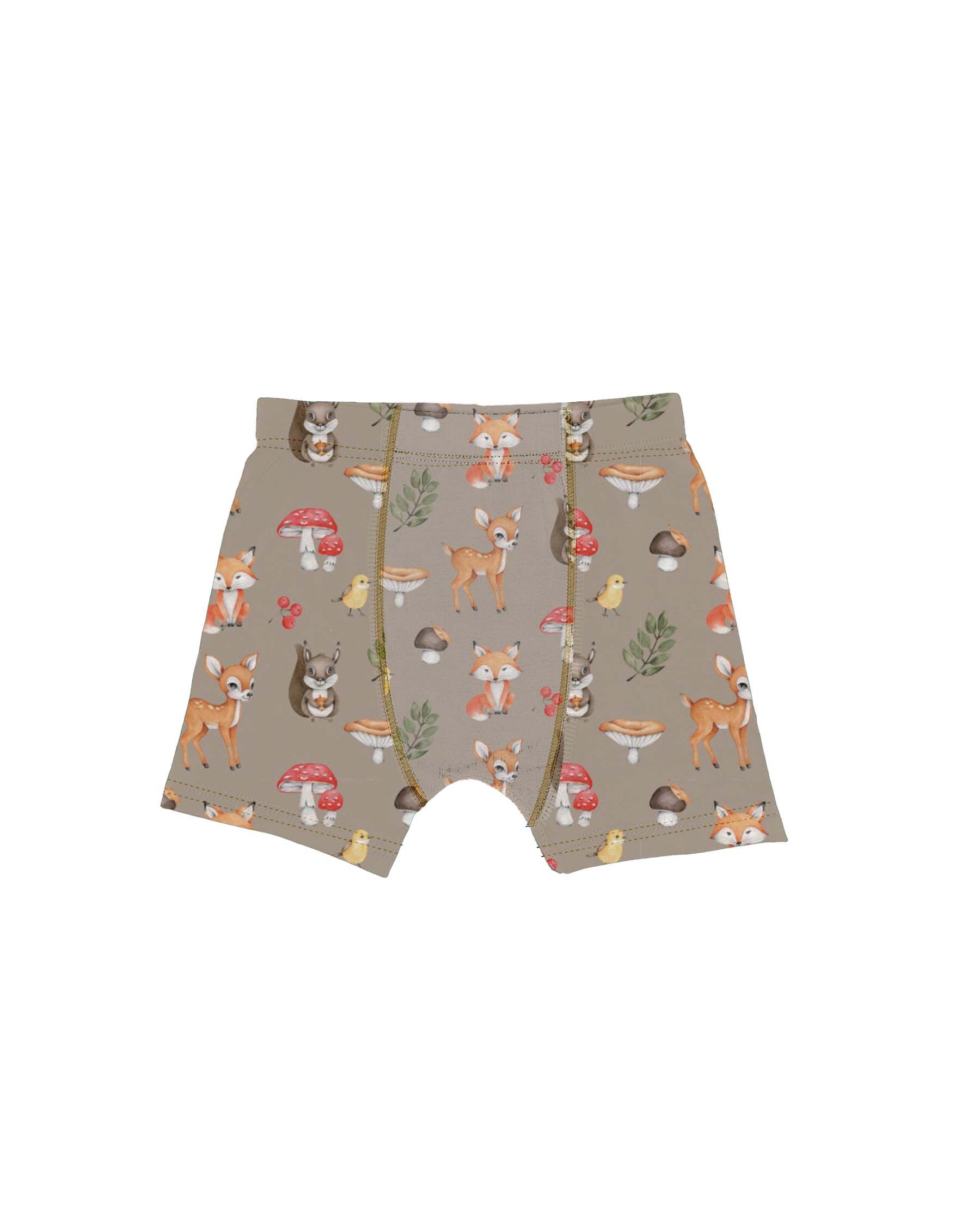 Hunter Boy's Briefs Set (Box of 3)