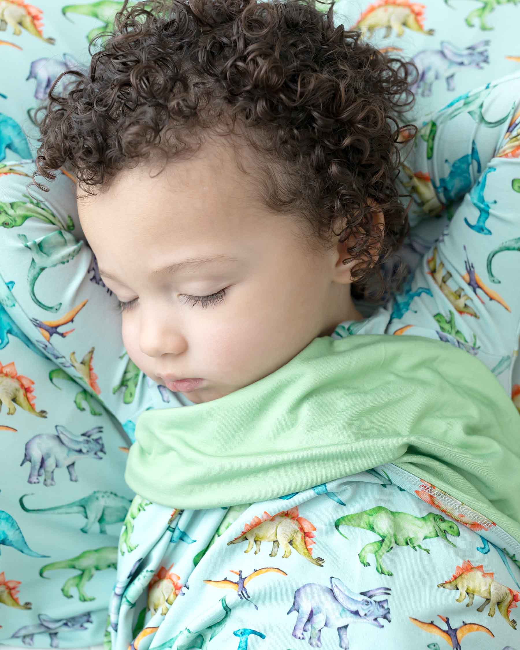 Landon Pillowcases: Set of 2