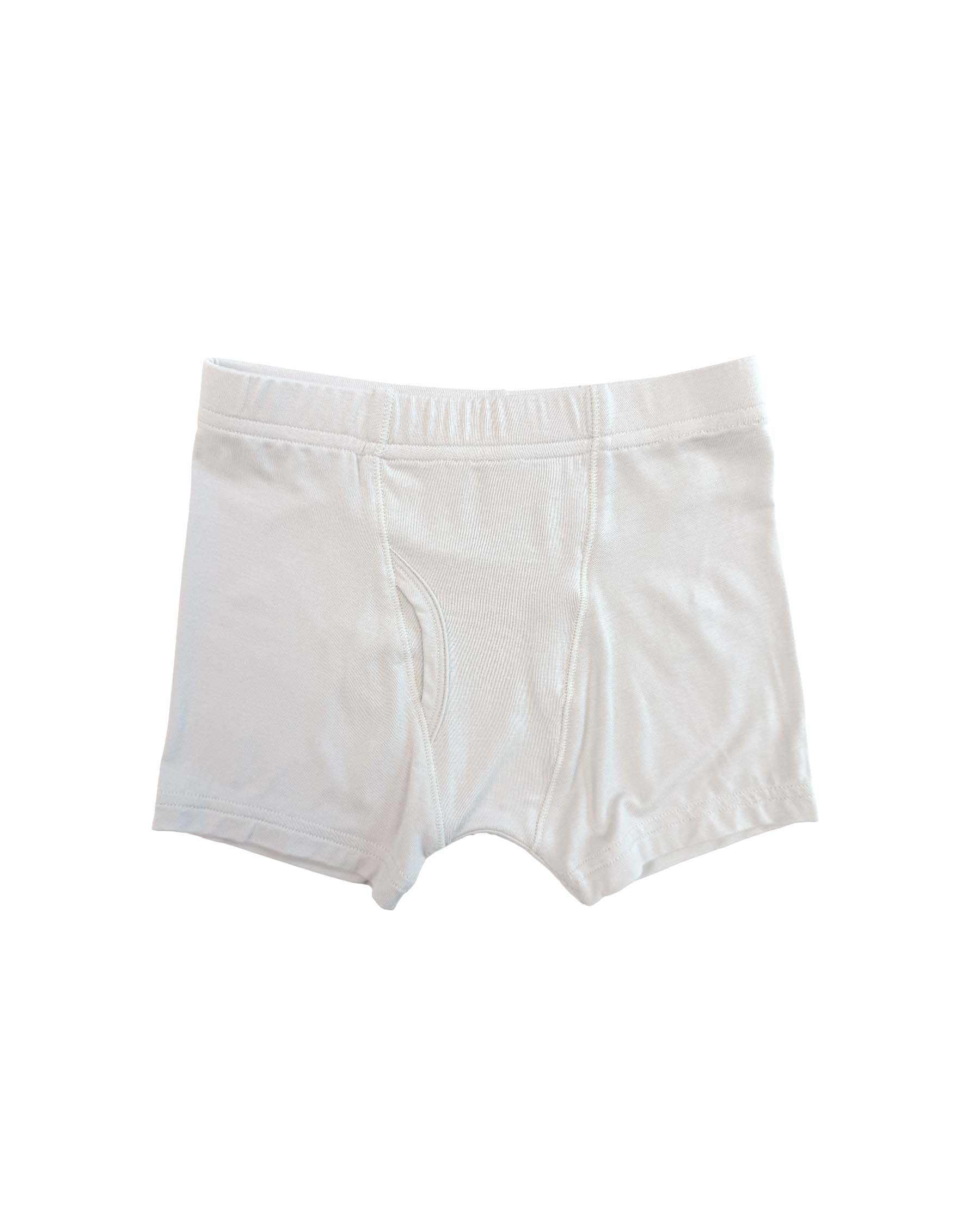Brett Boy's Briefs Set (Box of 3)